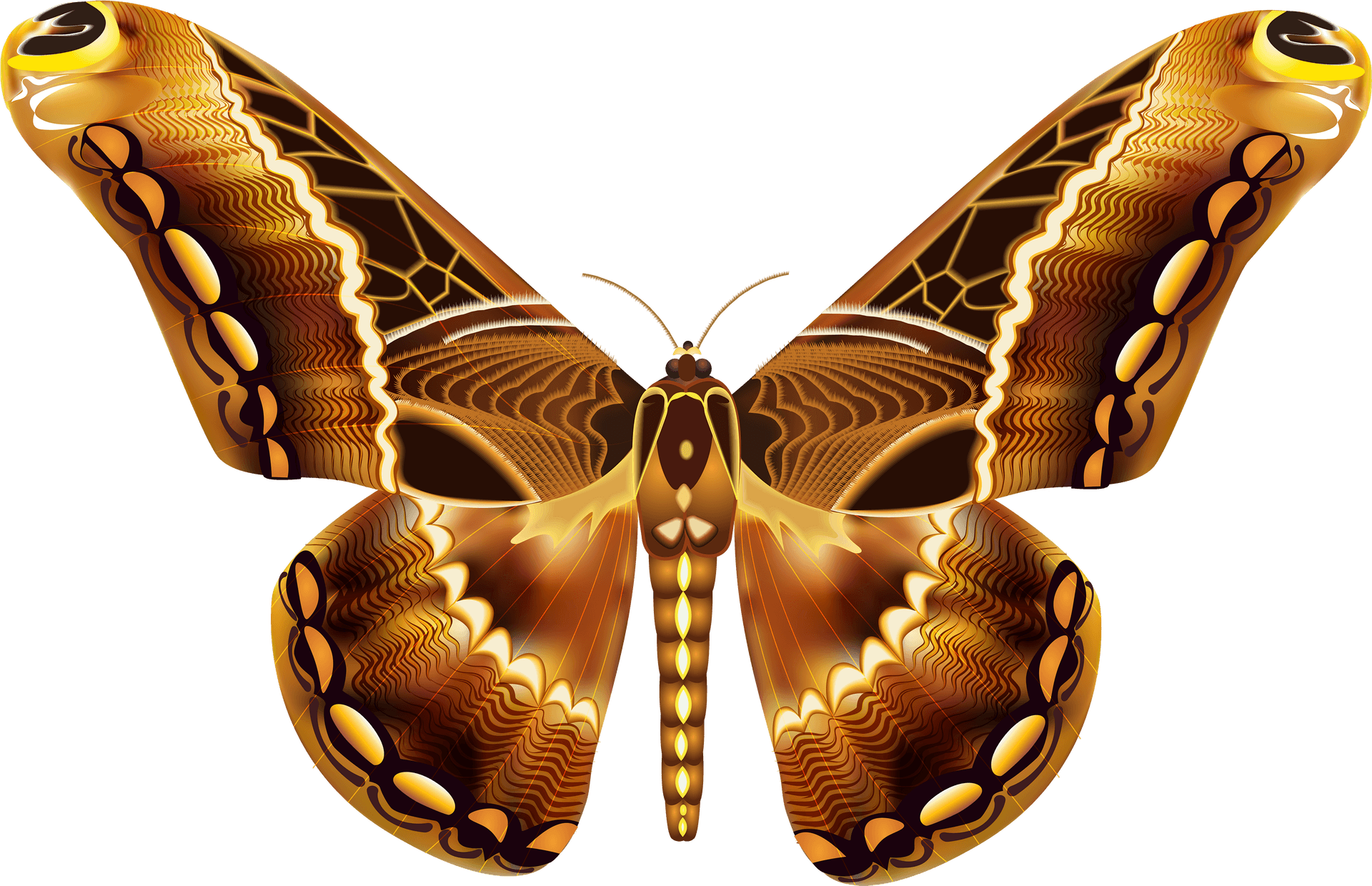 Golden Patterned Butterfly Transparent Background PNG