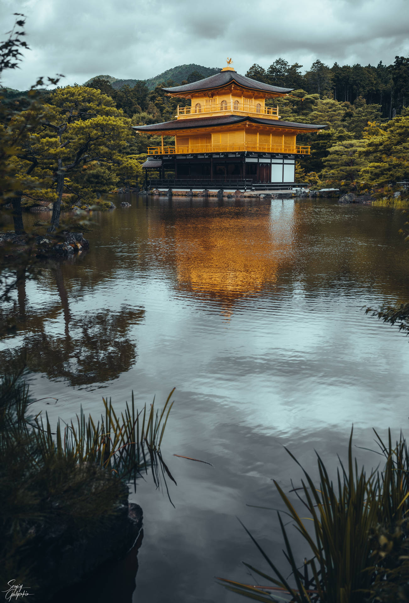 Golden Pavilion Scenery For Iphone Screens Wallpaper