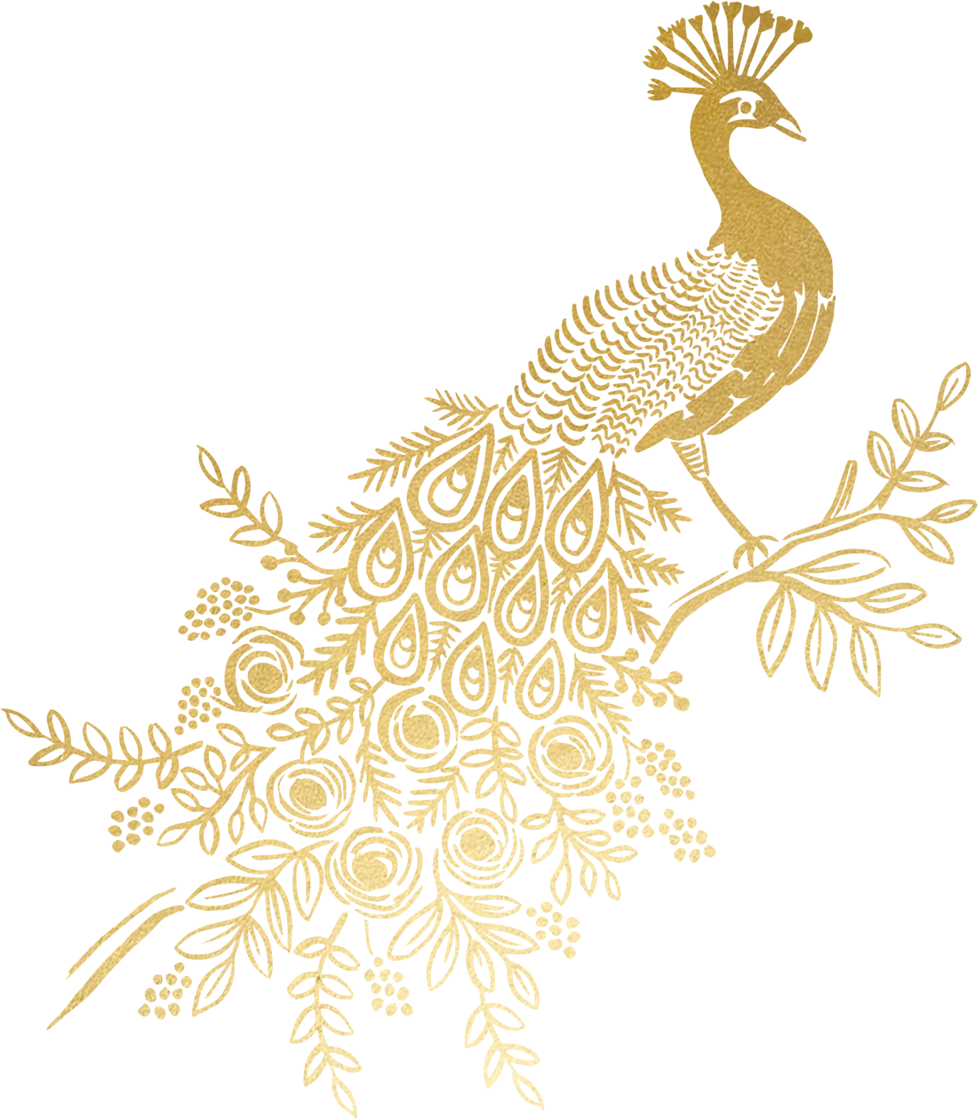 Golden Peacock Feather Artwork PNG