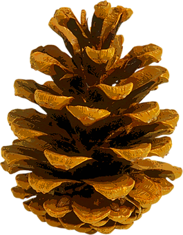 Golden Pinecone Autumn Vibes PNG
