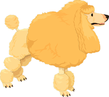 Golden Poodle Illustration PNG
