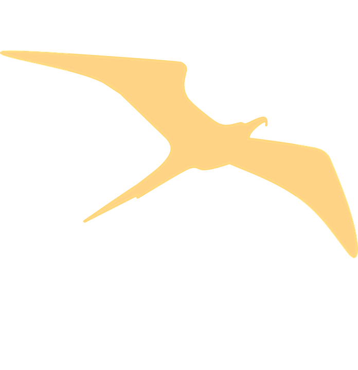 Golden Pterodactyl Silhouette PNG