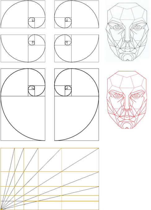 Golden Ratio Facial Geometry Illustration PNG