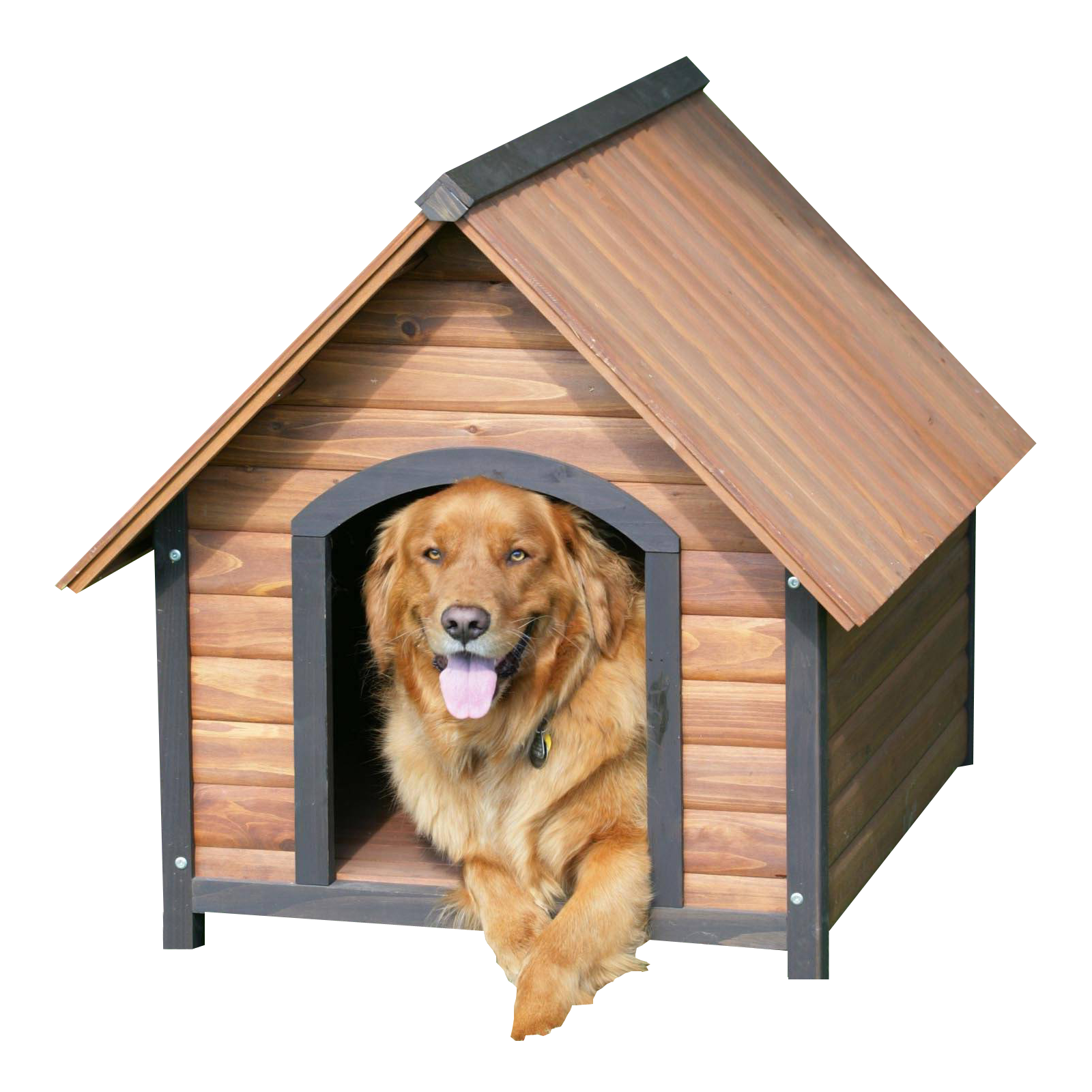 Golden Retriever In Doghouse.png PNG