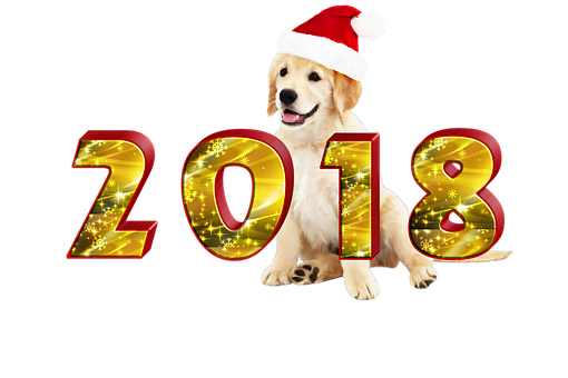 Golden_ Retriever_ New_ Year_2018_ Celebration PNG