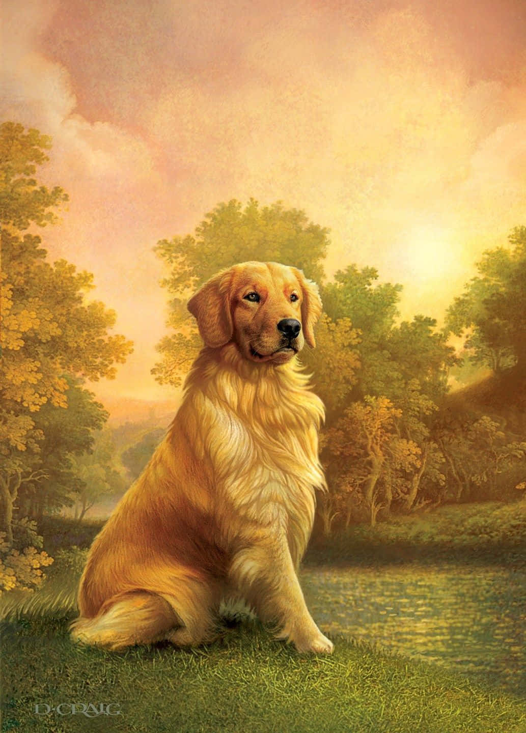 A beautiful golden retriever looking for love and affection