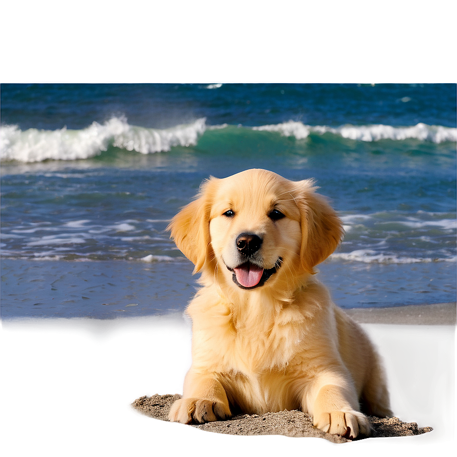 Golden Retriever Puppy On Beach Png 62 PNG