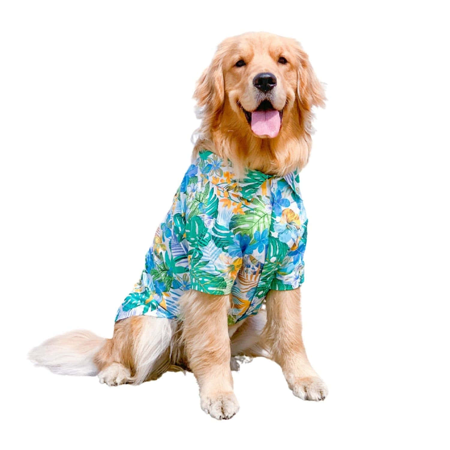 Golden Retrieverin Hawaiian Shirt Wallpaper