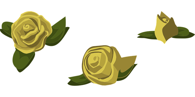 Golden_ Roses_ Vector_ Illustration PNG