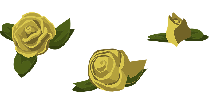 Golden Roses Vector Illustration PNG