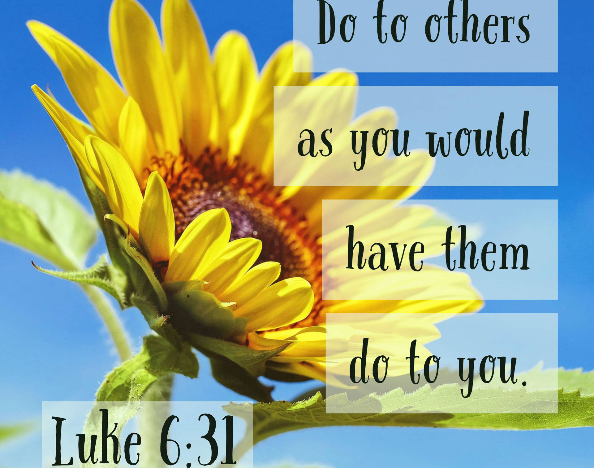 Golden Rule Bible Quote Wallpaper