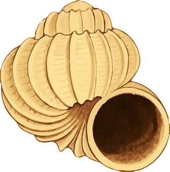 Golden Scallop Shell Illustration PNG