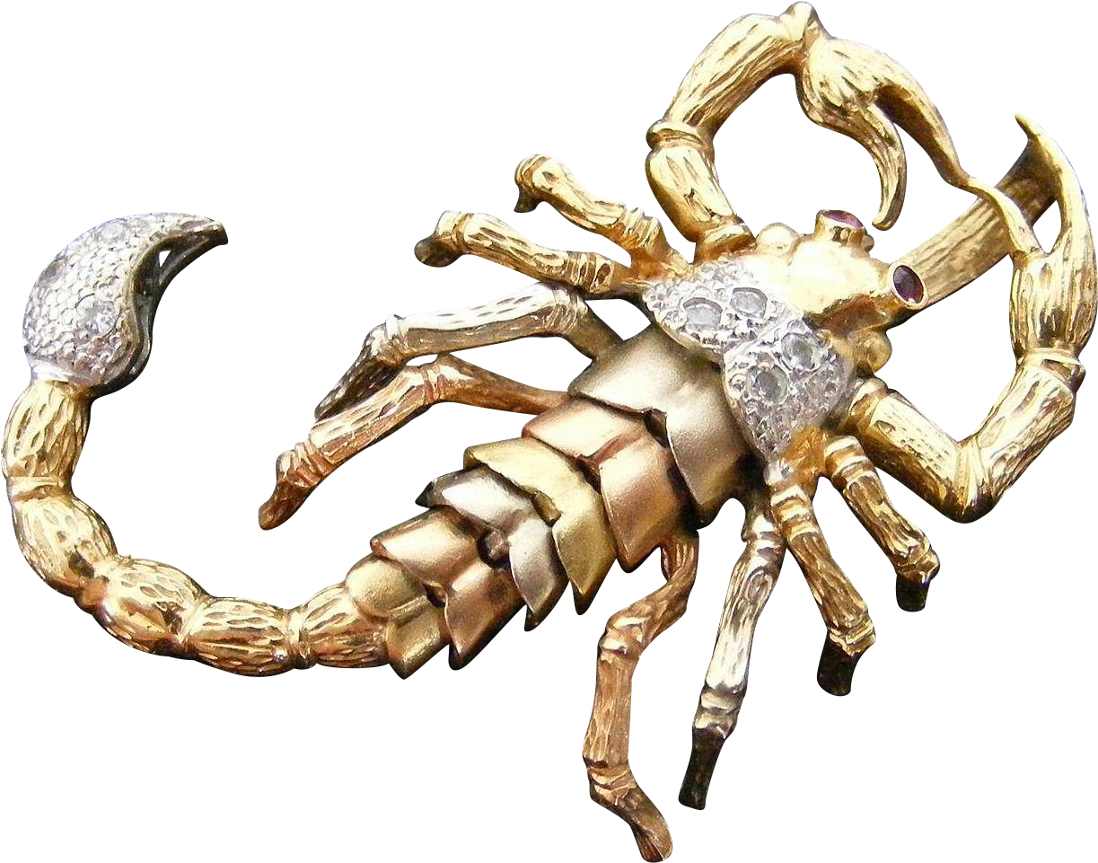 Golden Scorpion Brooch Jewelry PNG