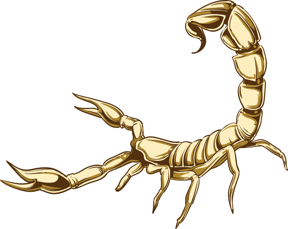 Golden Scorpion Illustration PNG