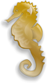 Golden Seahorse Illustration PNG
