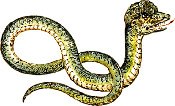 Golden Serpent Illustration PNG