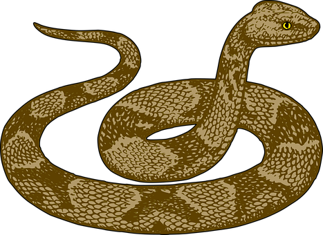 Golden_ Serpent_ Illustration PNG