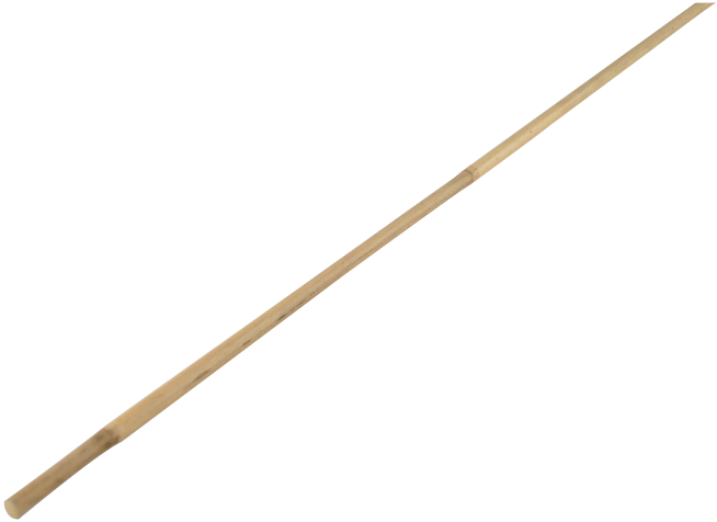 Golden Sewing Needle PNG