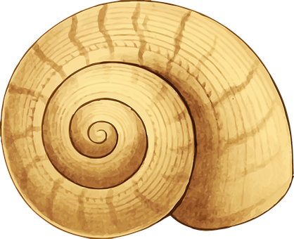 Golden Spiral Seashell PNG