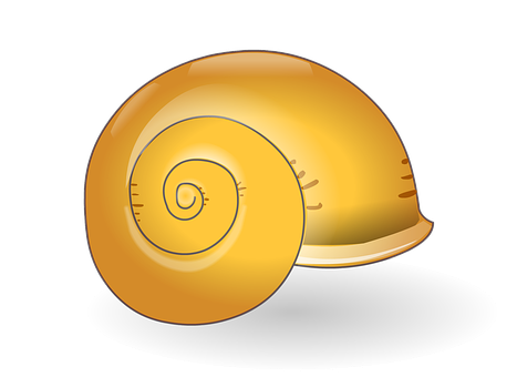 Golden Spiral Shell Illustration PNG