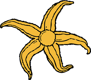 Golden_ Starfish_ Vector_ Art PNG