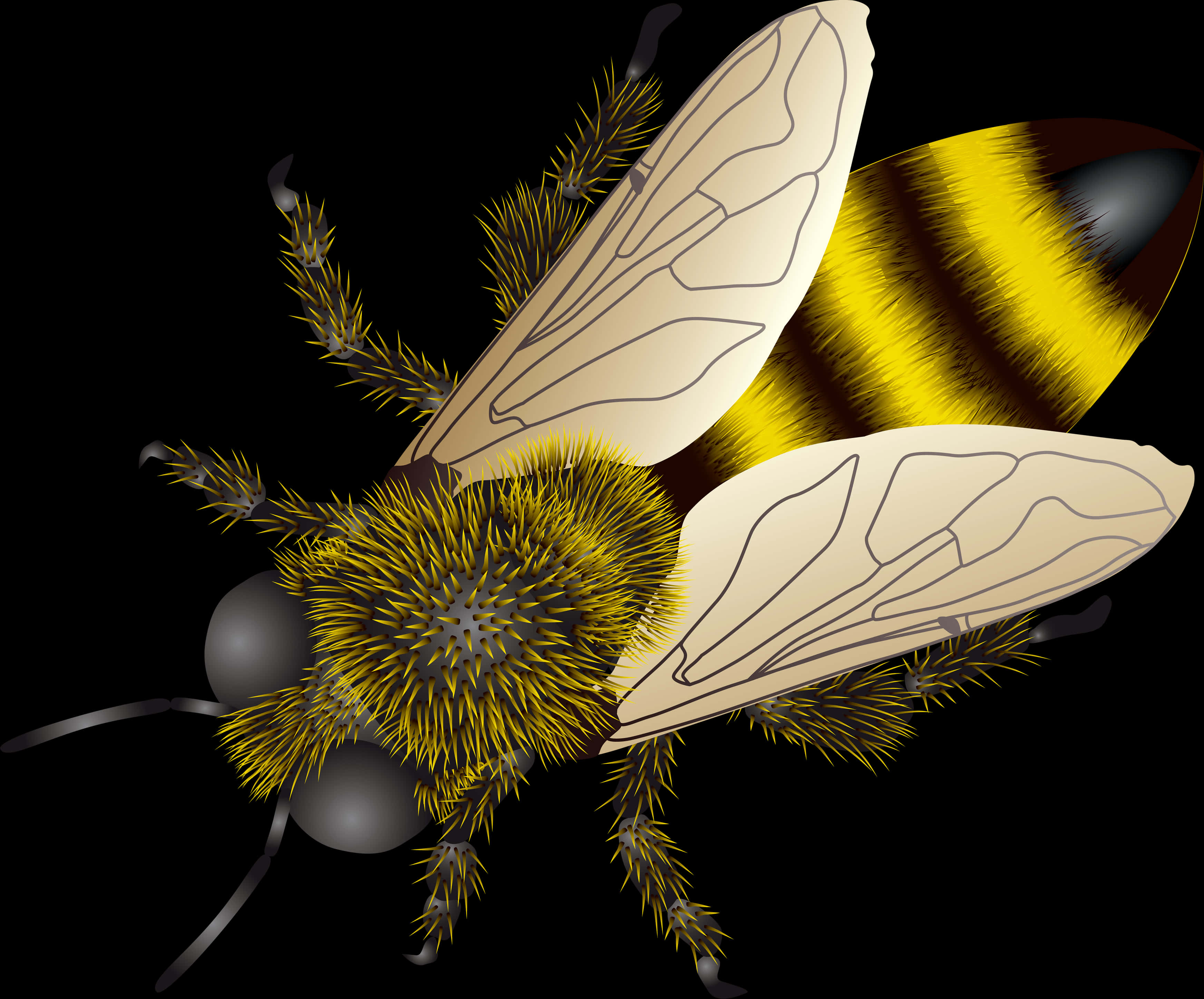 Golden Striped Bee Illustration PNG