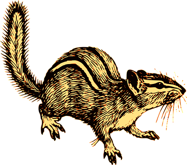 Golden Striped Squirrel Illustration PNG