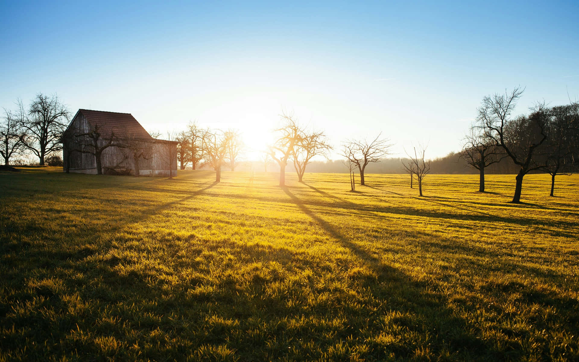 Golden Sunrise Over Countryside Wallpaper