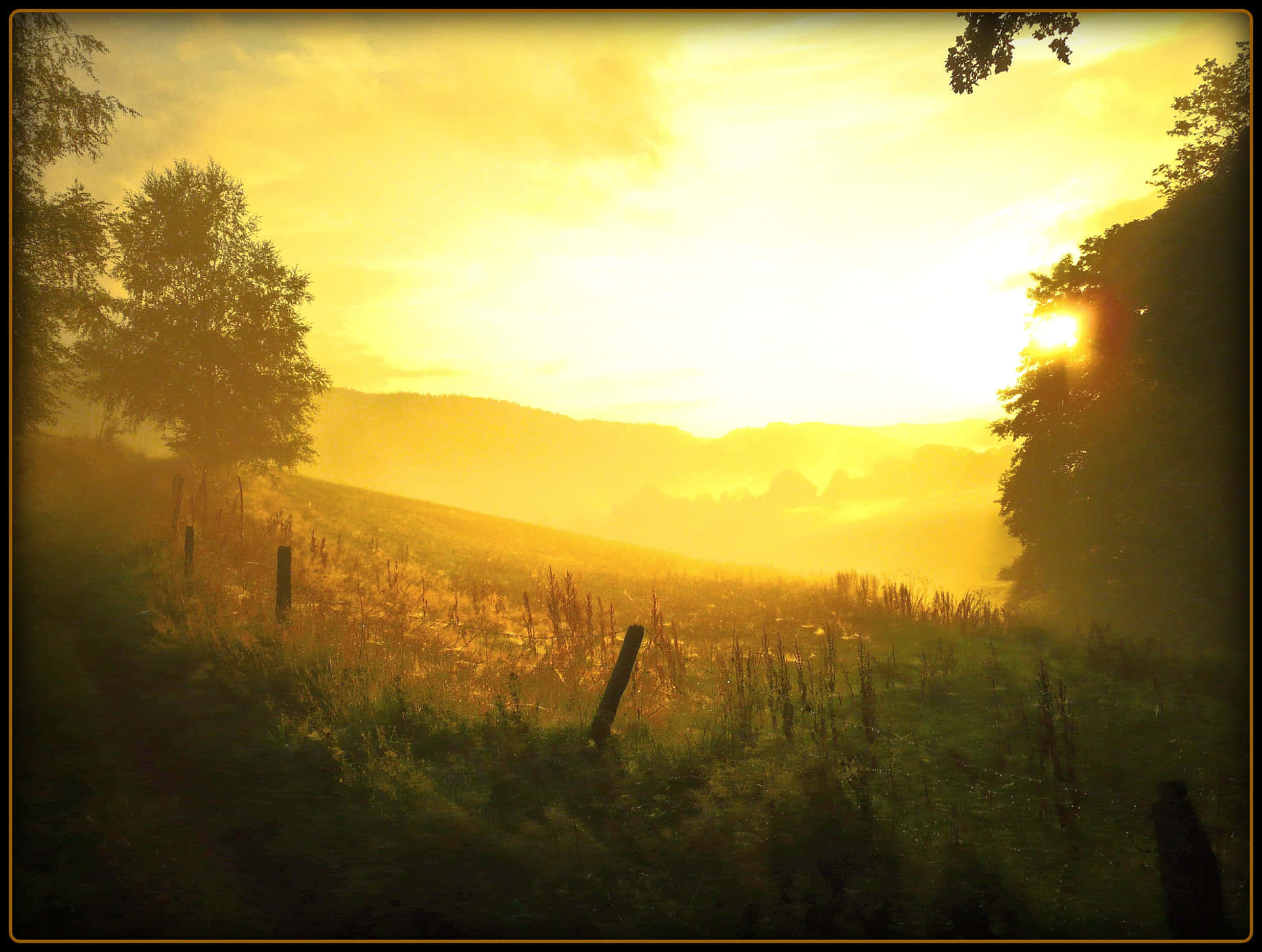 Golden Sunrise Over Misty Fields.jpg Wallpaper