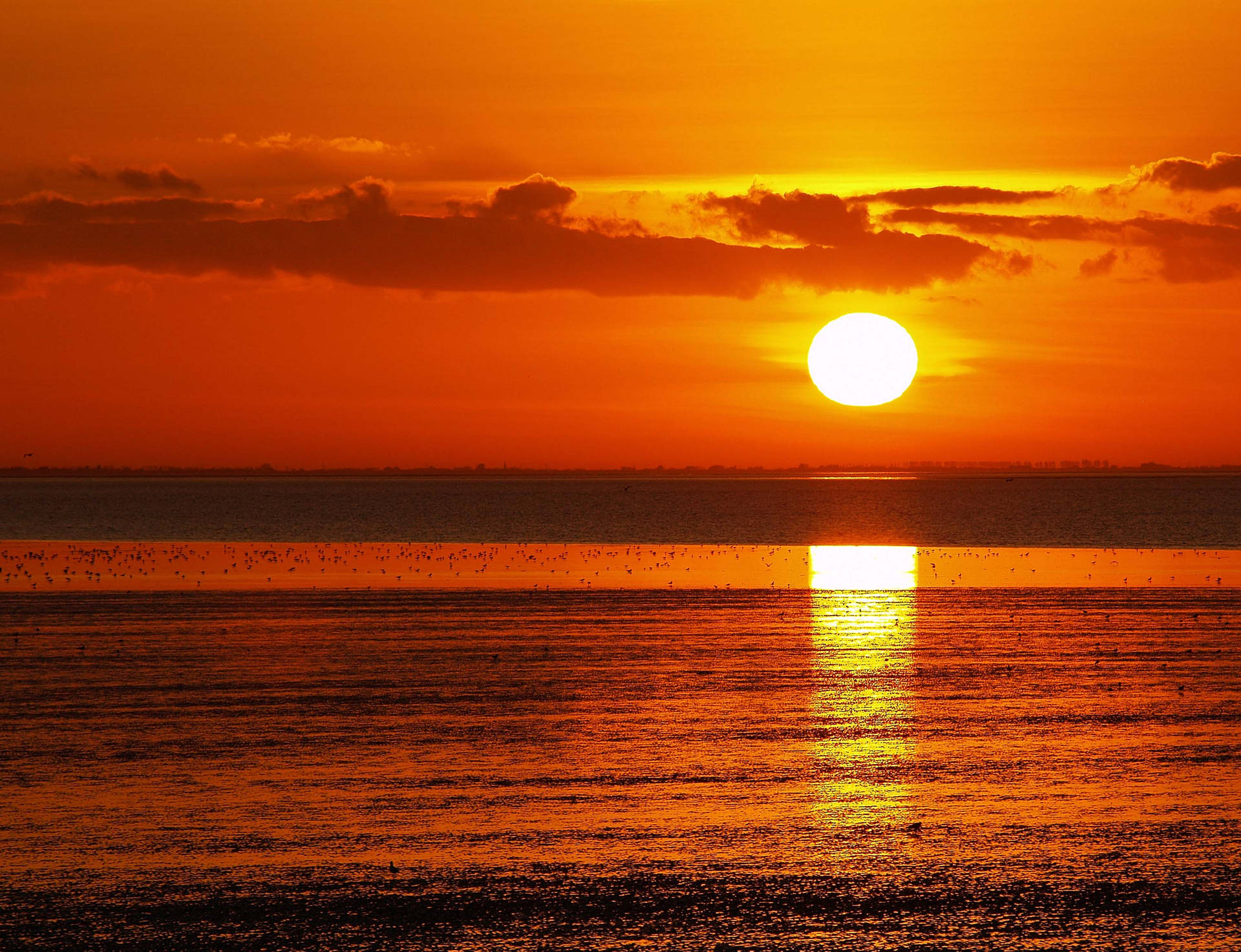 Golden Sunrise Scenery At The Beach In Norfolk, Virginia Wallpaper