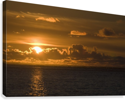 Golden Sunset Over Ocean PNG