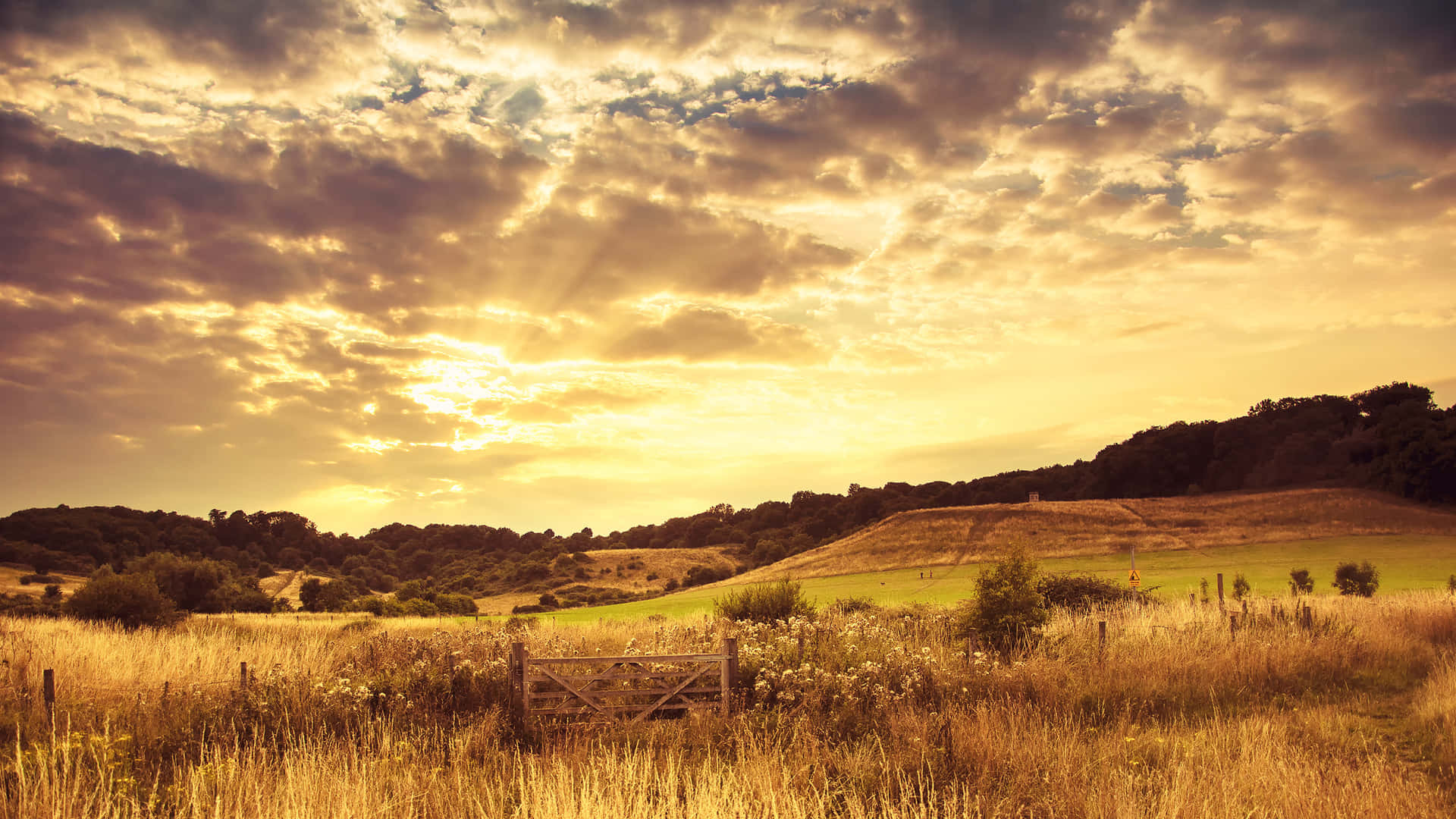 Golden Sunset Over Pastoral Landscape.jpg Wallpaper