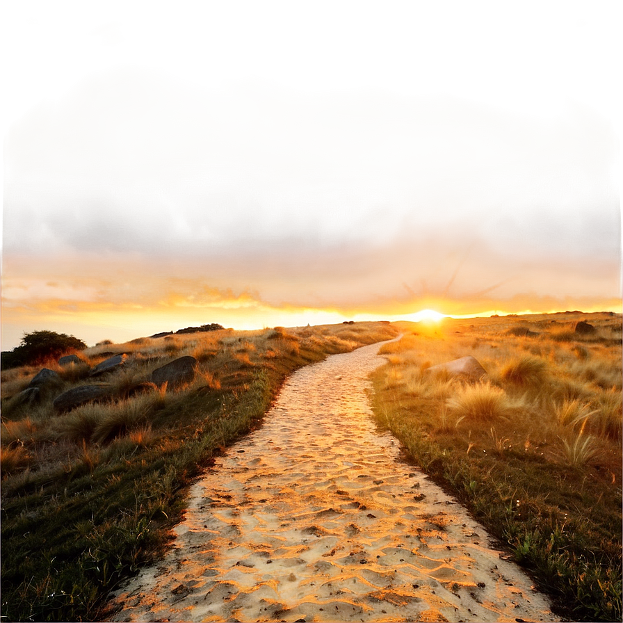 Golden Sunset Path Png 12 PNG