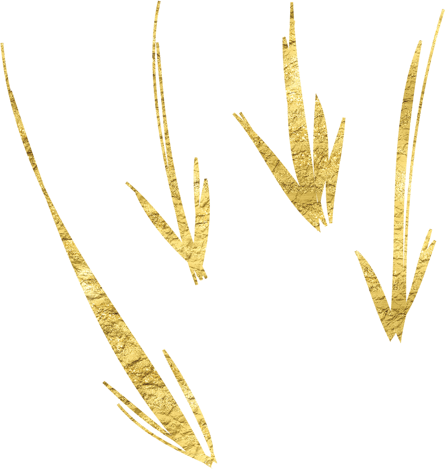 Golden Texture Hand Drawn Arrows PNG