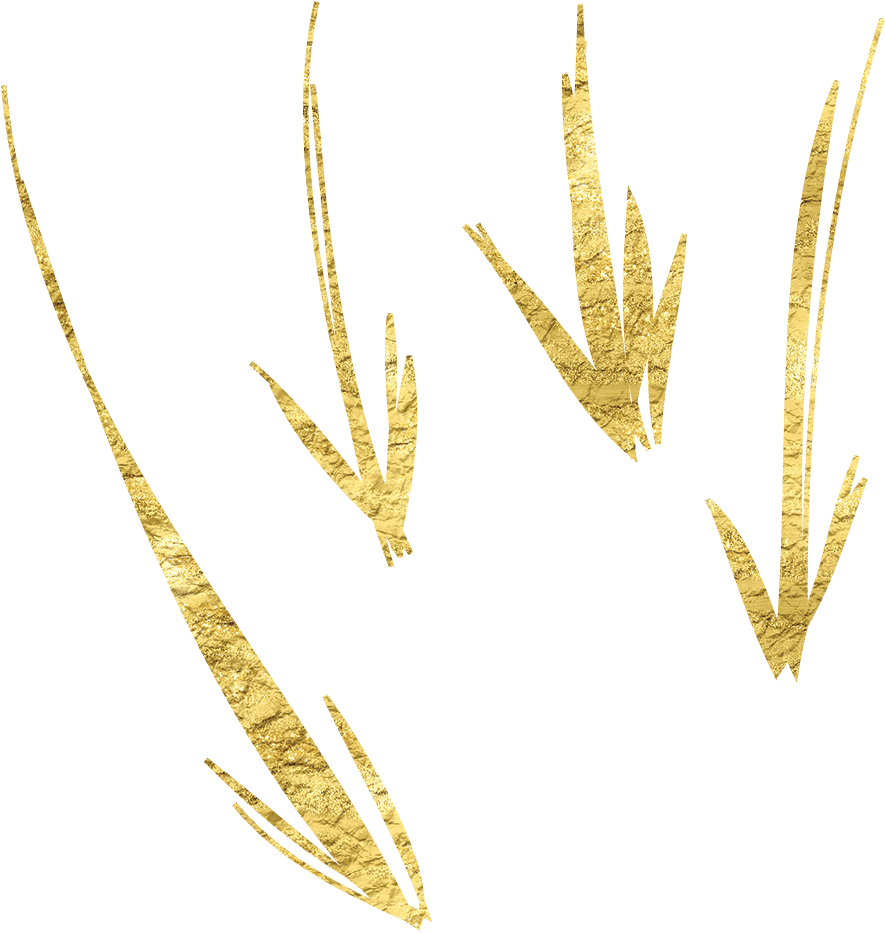 Download Golden Texture Hand Drawn Arrows | Wallpapers.com