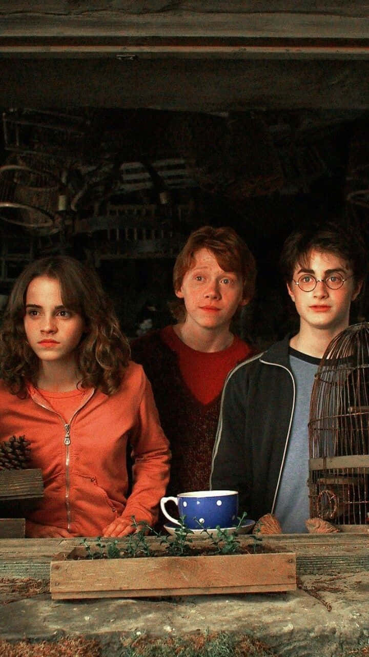 Harry Potter Golden Trio Wallpaper