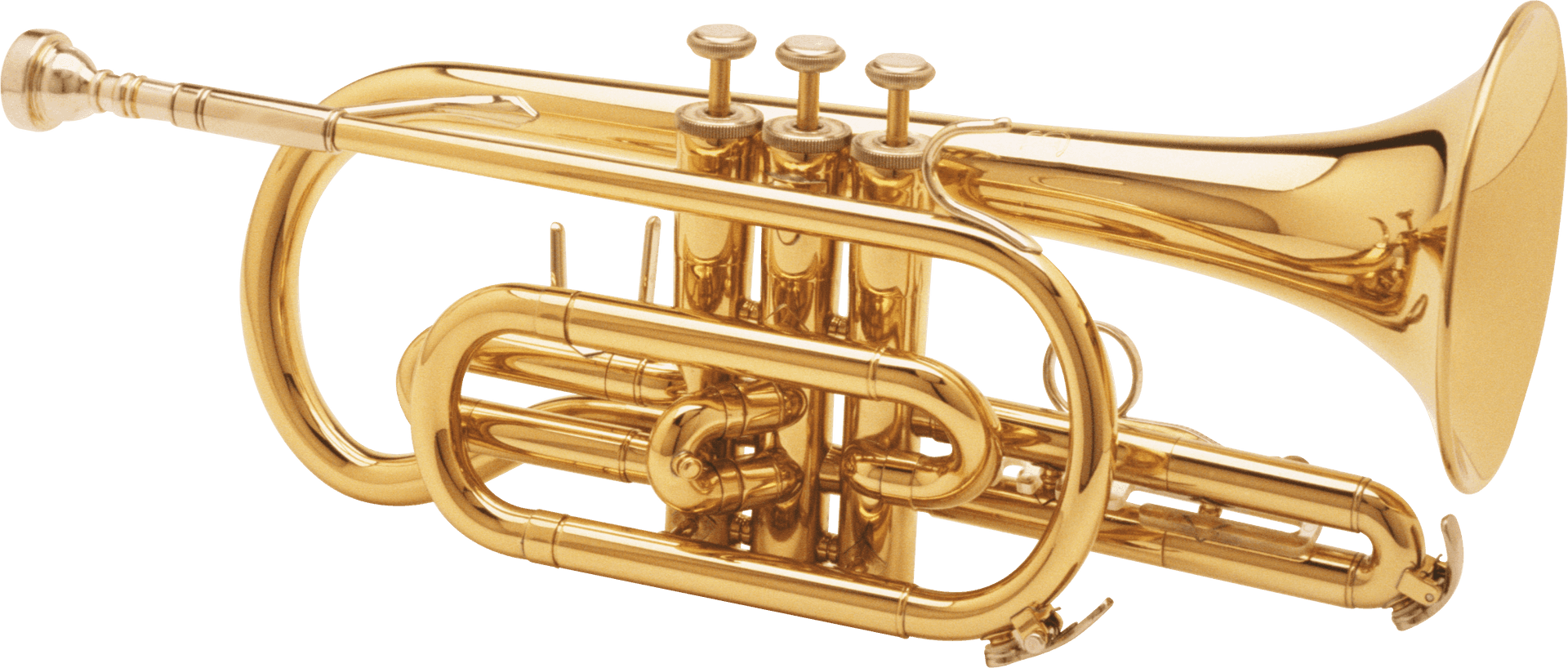 Golden Trumpet Isolated PNG