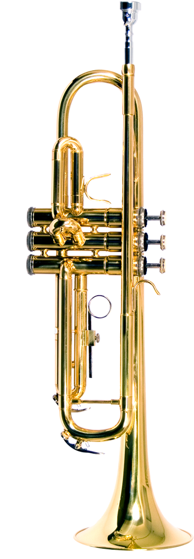 Golden Trumpet Isolatedon Background PNG
