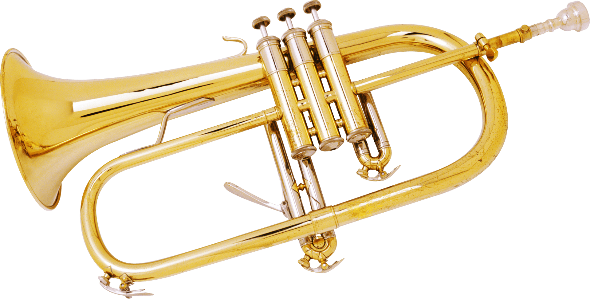 Golden Trumpet Isolatedon White PNG