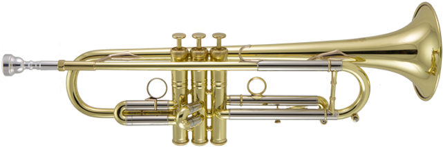 Golden Trumpet Isolatedon White PNG