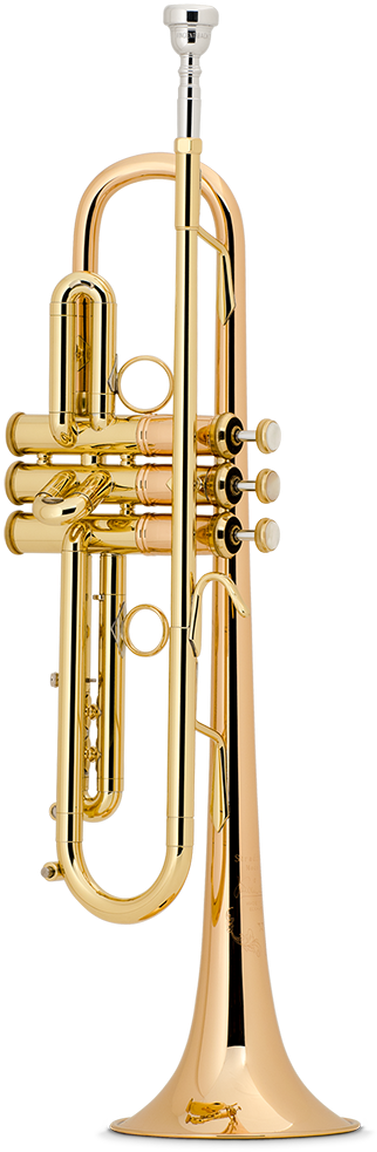 Golden Trumpet Standing PNG