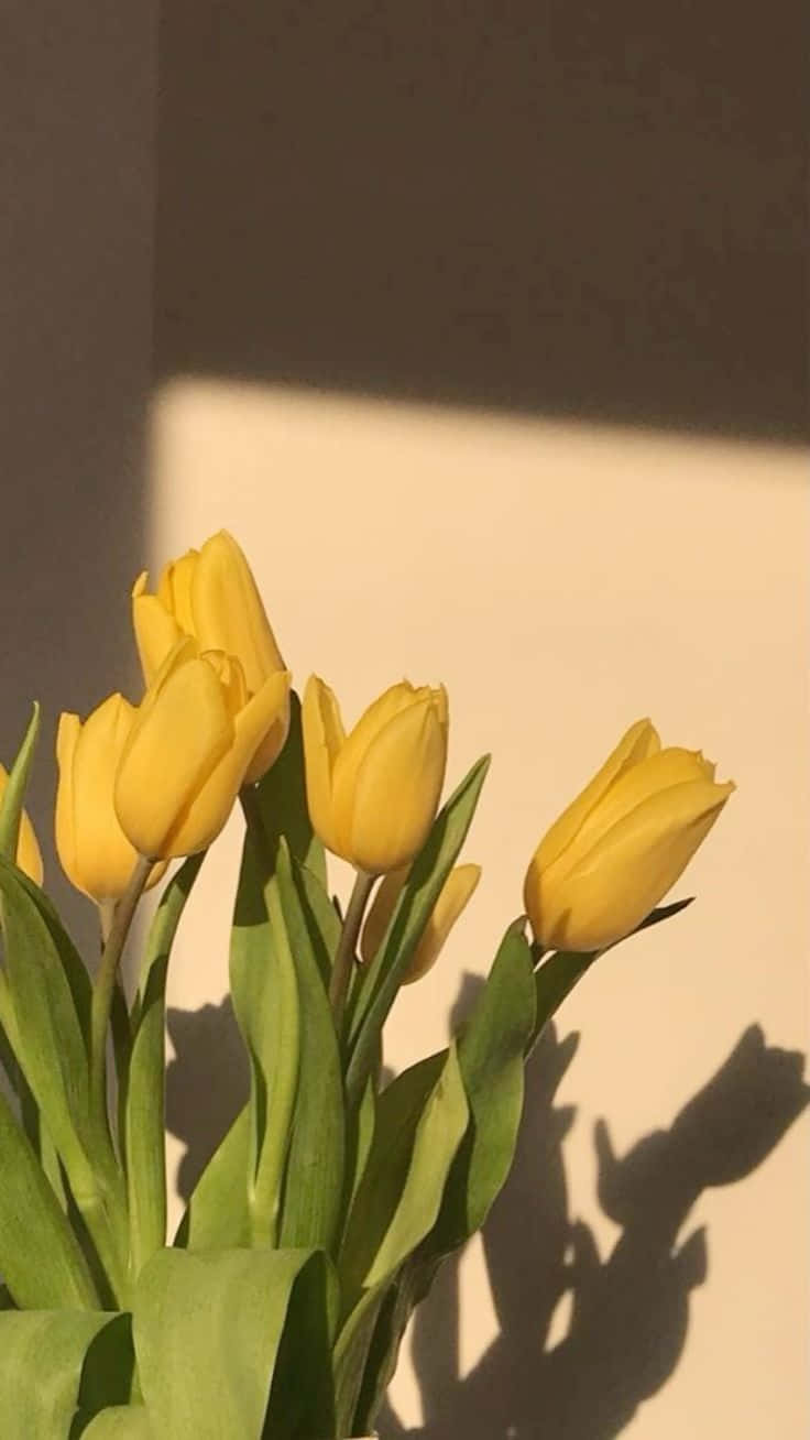 Golden Tulips Shadow Aesthetic Wallpaper