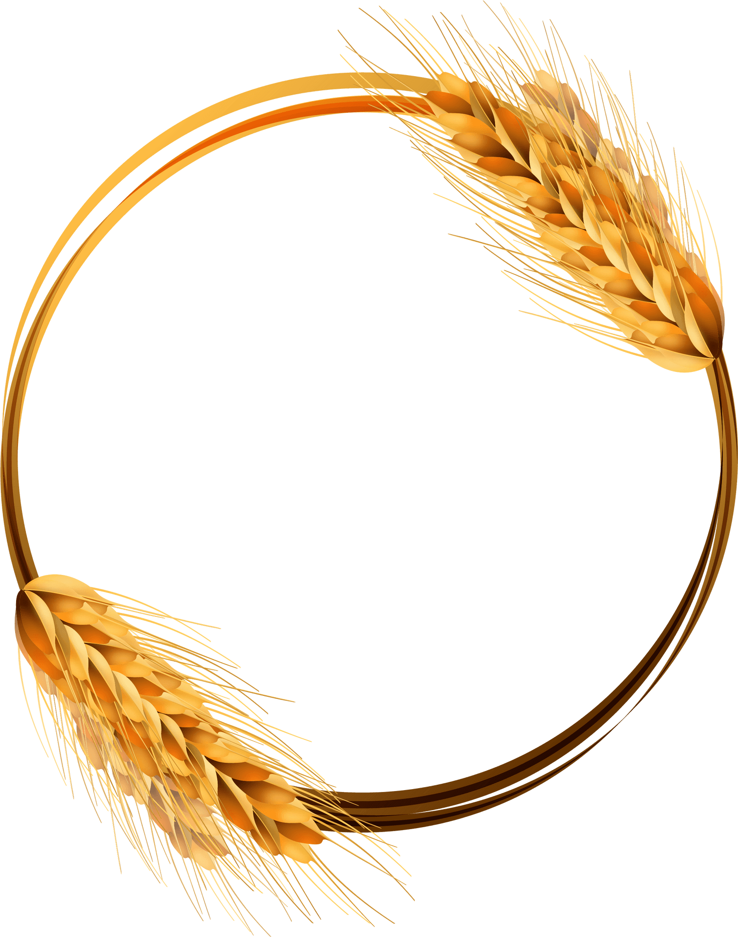 Golden Wheat Ears Circle Vector PNG