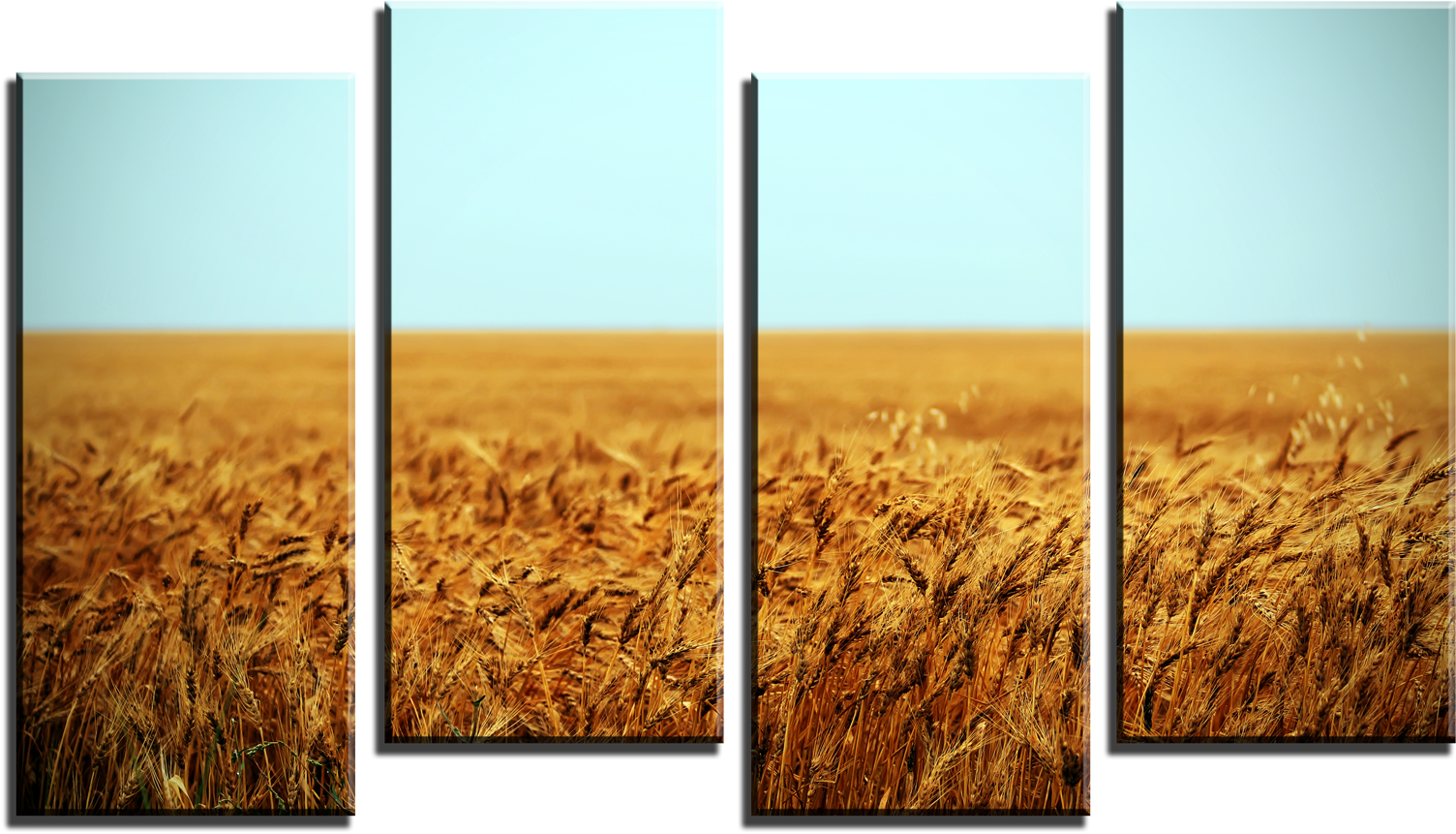 Golden Wheat Field Four Panel Display PNG