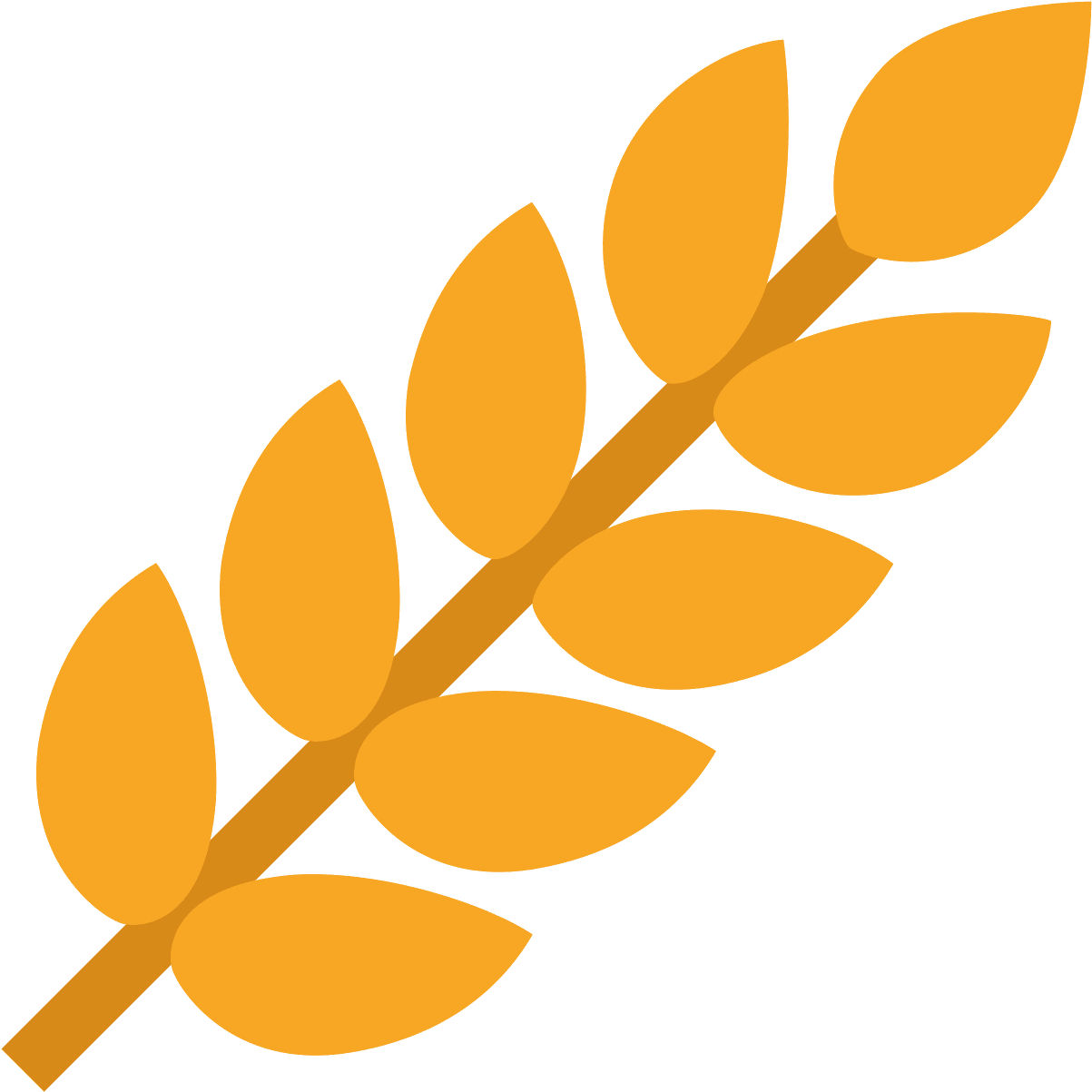 Golden Wheat Icon PNG