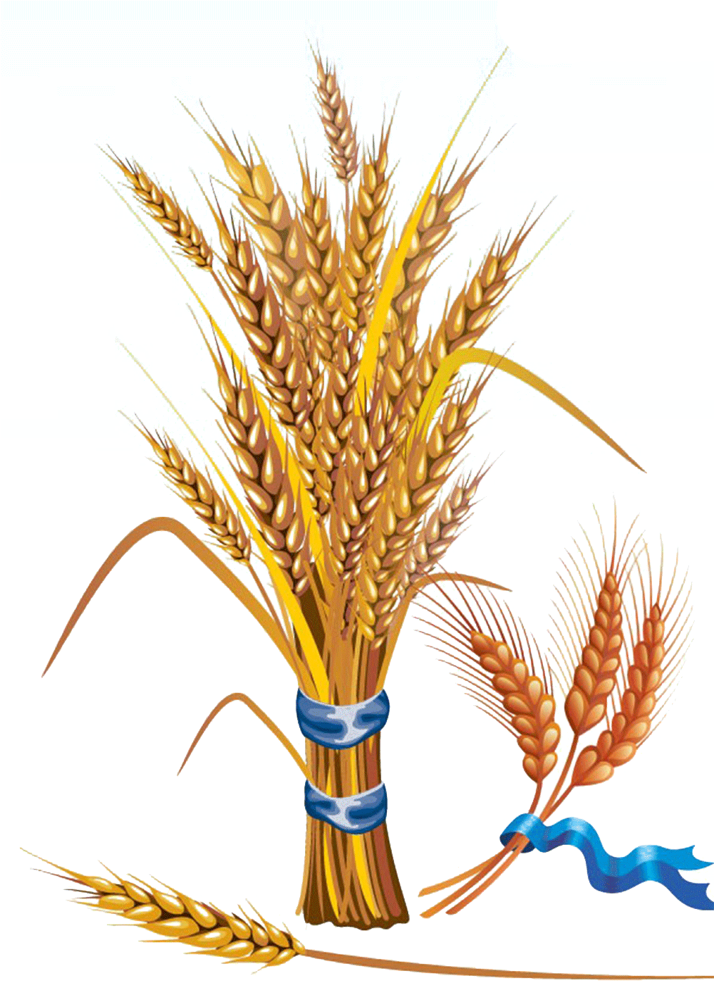 Golden Wheat Sheaves Vector PNG