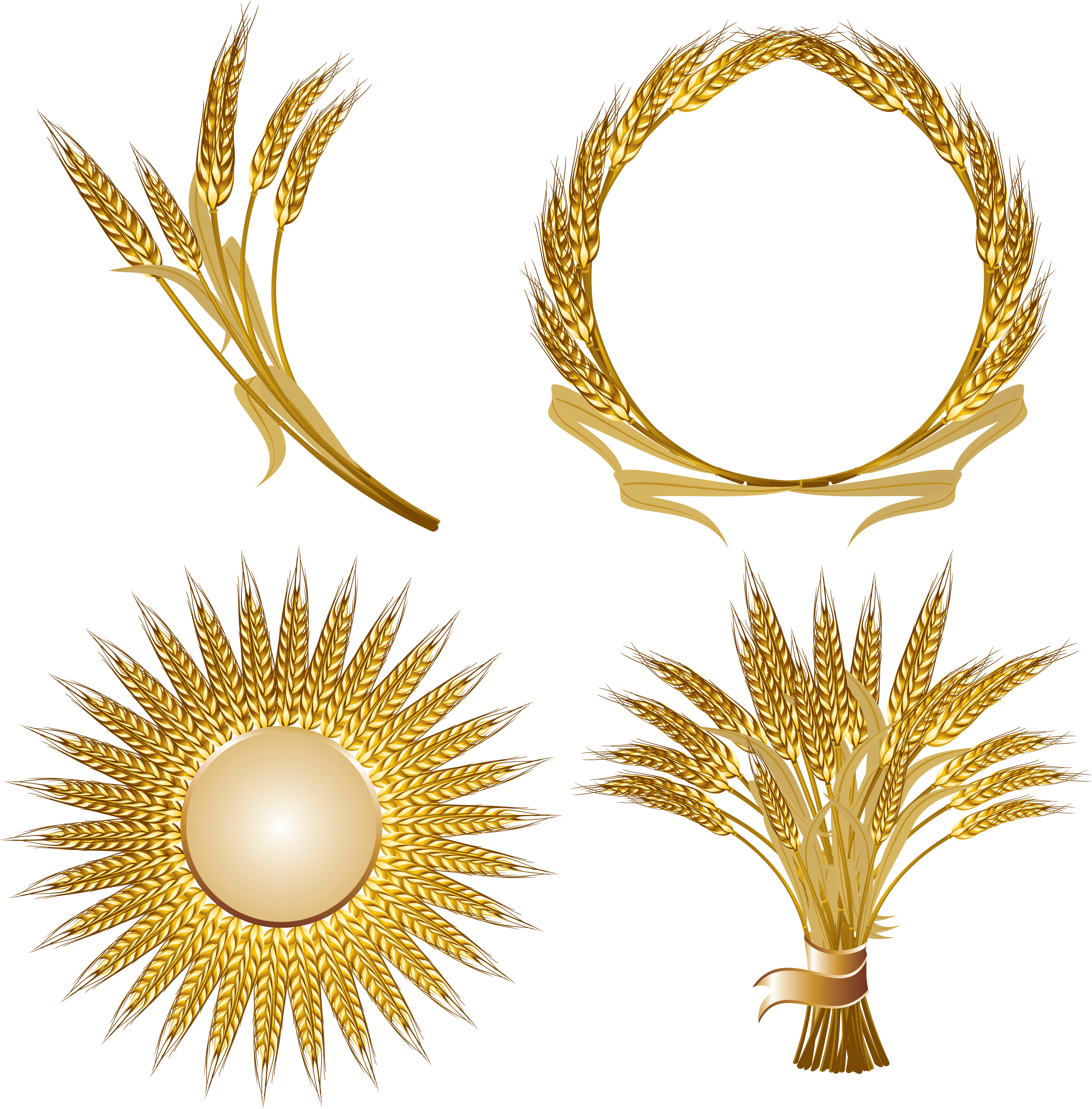 Golden Wheat Vector Design Elements PNG — Golden wheat motifs including a wreath a sunburst a sheaf and loose stalks arranged as decorative elements.