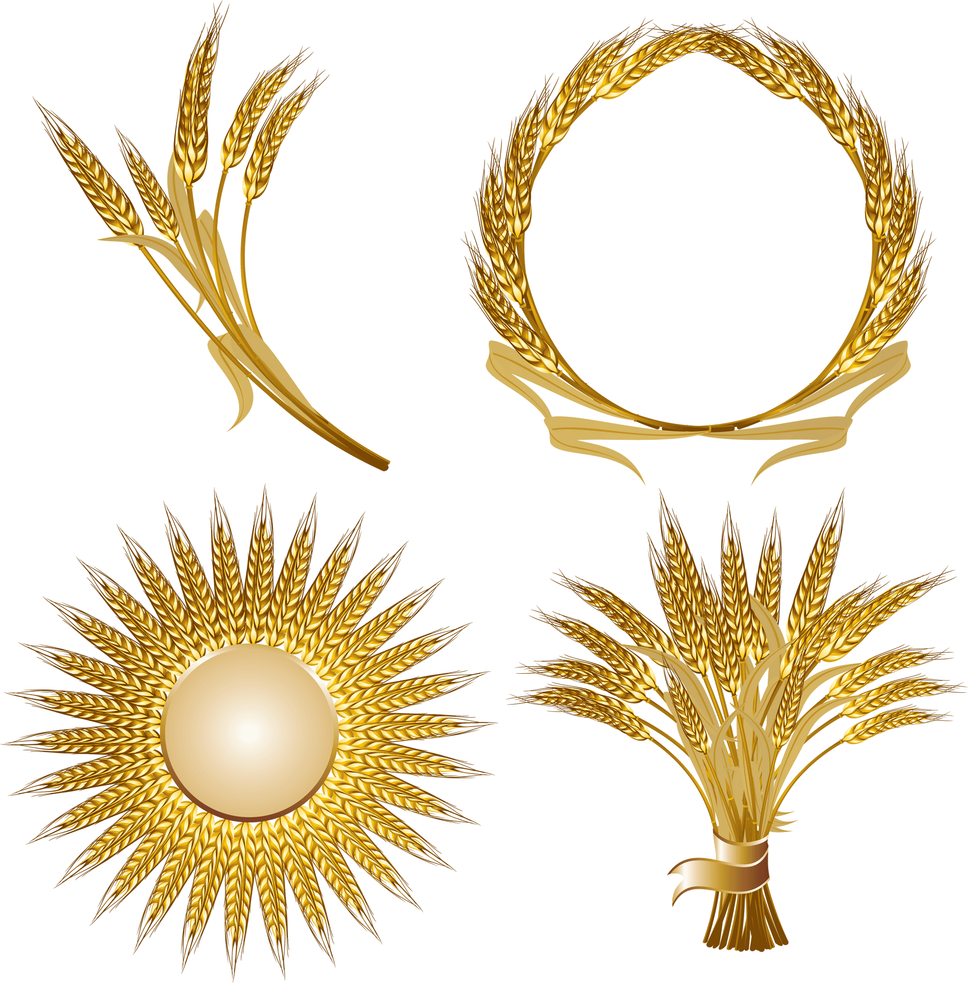 Golden Wheat Vector Design Elements PNG