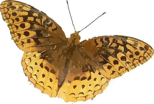 Golden Winged Butterfly Illustration PNG