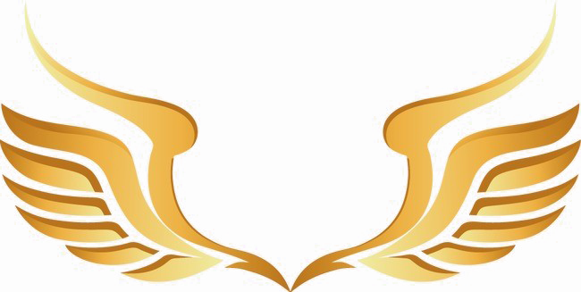 Golden Wings Logo Design PNG